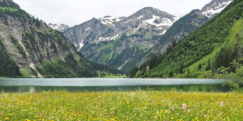 Arbeiten im Allgäu