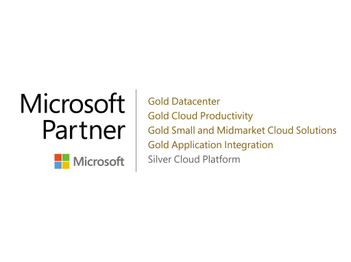 Microsoft Partner